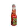 LIMONADE JAPONAISE PASTEQUE (日本弹珠汽水 西瓜味 200MLx30/CT)