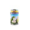 BOISSON COCO PSP (椰子汁)