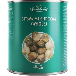 CHAMPIGNONS DE POILE ENTIER (鲜草菇/箱)