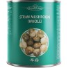 CHAMPIGNONS DE POILE ENTIER (鲜草菇/箱)