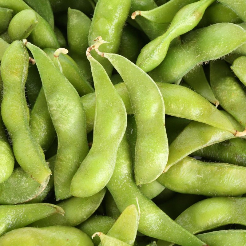EDAMAME SALE CGL AVEC COQUE (带壳毛豆/箱)