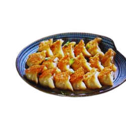GYOZA POULET/LEGUME CGL (日式鸡肉饺)