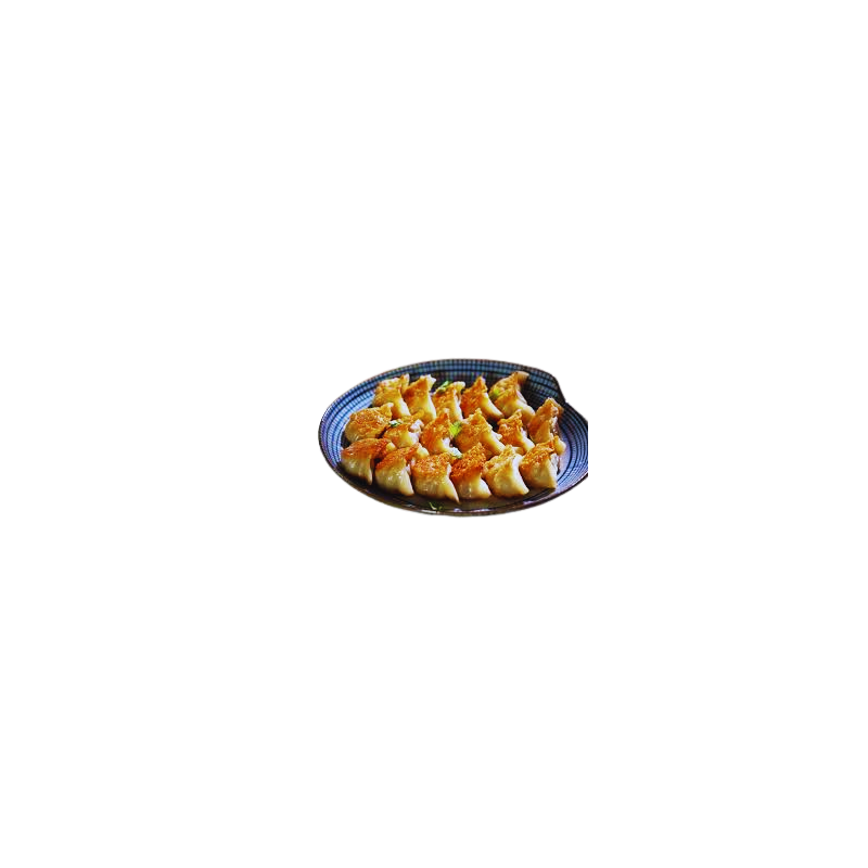GYOZA POULET/LEGUME CGL (日式鸡肉饺)