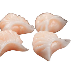 RAVIOLI AUX CREVETTES CGL (虾饺/箱)
