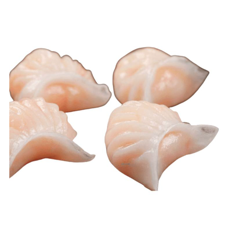 RAVIOLI AUX CREVETTES CGL (虾饺/箱)