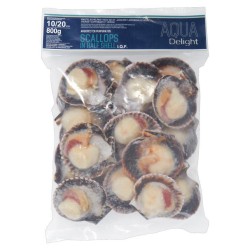 DEMI COQUILLES SAINT JACQUE CGL 扇贝