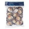DEMI COQUILLES SAINT JACQUE CGL 扇贝