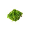 SALADE ALGUE WAKAME CGL (日式即食海草/箱)