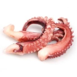 TENTACULE (鱿鱼须)