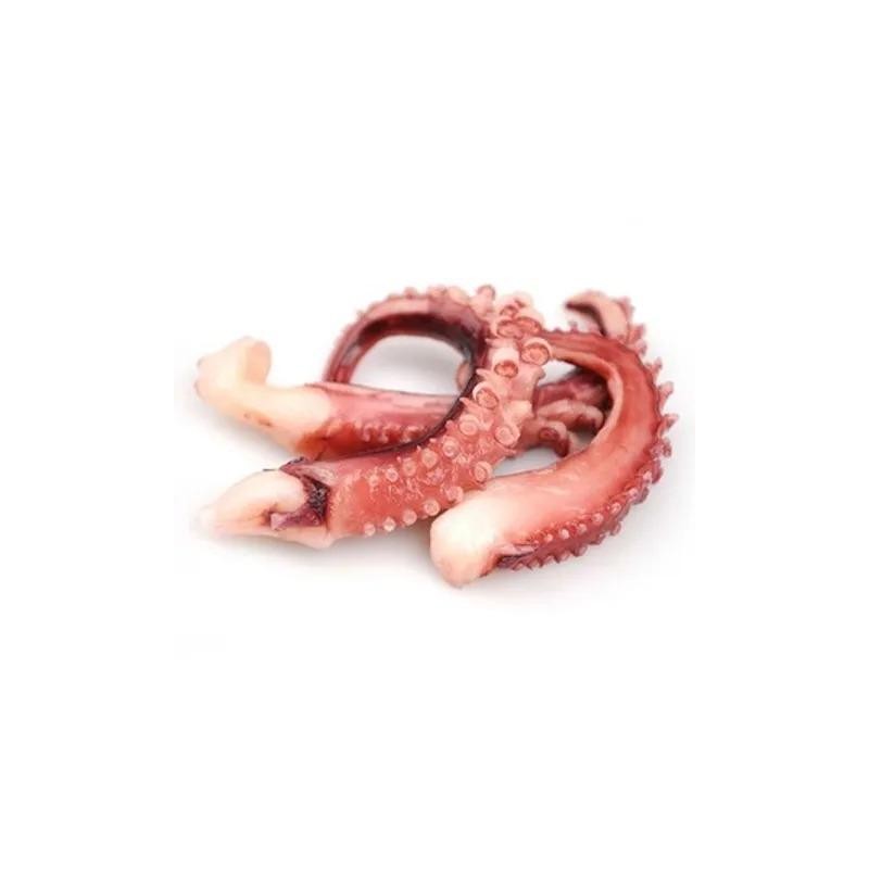 TENTACULE (鱿鱼须)
