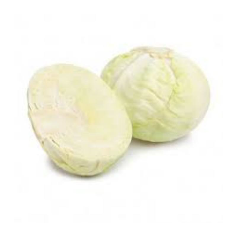 CHOU BLANC 球菜