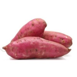 PATATE DOUCE 红薯