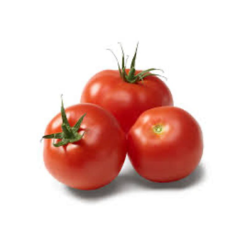 TOMATE 西红柿