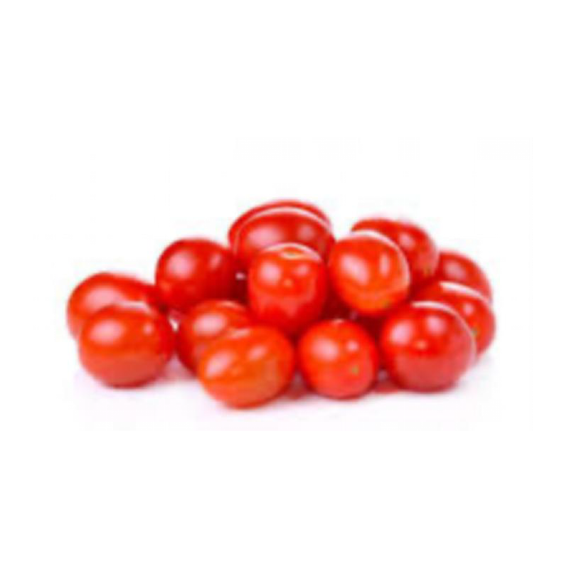 TOMATE CERISE ALLONGE 小番茄