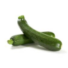 COURGETTE 西葫芦 9KG/CT