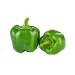 POIVRON VERT 青椒 5KG/CT