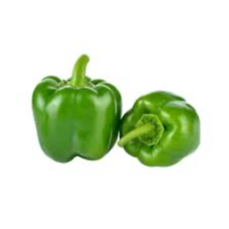 POIVRON VERT 青椒 5KG/CT