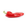 POIVRON LONG ROUGE 长红椒 5KG/CT
