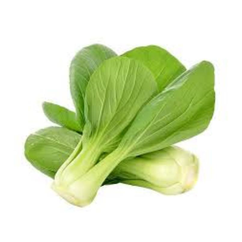 PAK.CHOI 上海小白菜 4KG/CT