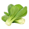 PAK.CHOI 上海小白菜 4KG/CT