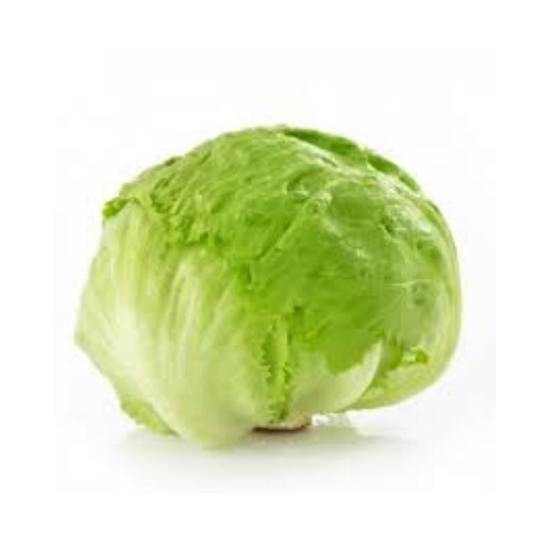 ICEBERG 玻璃生菜