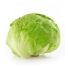 ICEBERG 玻璃生菜