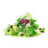 SALADE MULTICOLOR KRISTAL 混合沙拉 1KG/SACHET