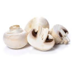 CHAMPIGNON 白蘑菇