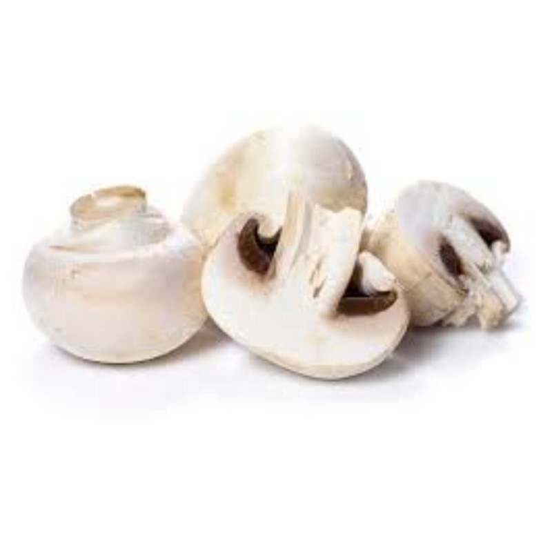 CHAMPIGNON 白蘑菇