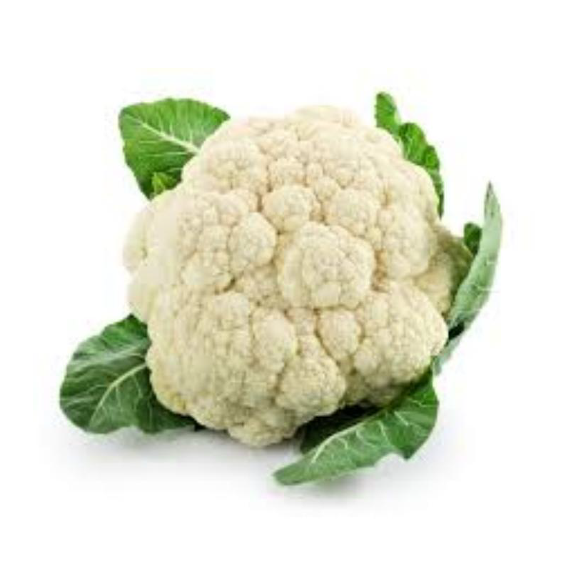 CHOUX FLEUR 花菜 6KG/CT