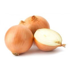 OIGNONS 洋葱