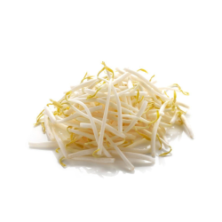 SOJA FRAIS 豆芽