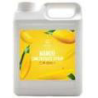 SIROP DE MANGUE (芒果濃縮汁)