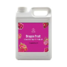 SIROP DE FRUIT DE DRAGON ROUGE (火龍果濃縮汁)