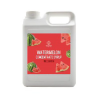 SIROP DE PASTÈQUE (西瓜濃縮汁)