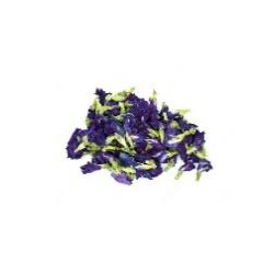 FLEUR DE POIS PAPILLON (蝶豆花)