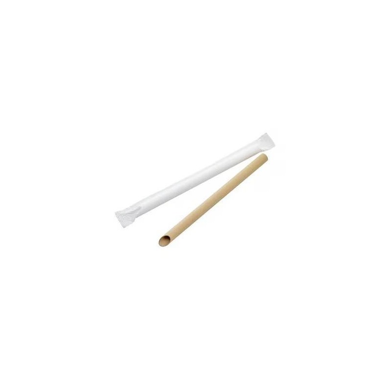 PAILLE EN PAPIER (Kraft) (獨立包装纸製大吸 管(公版牛皮))